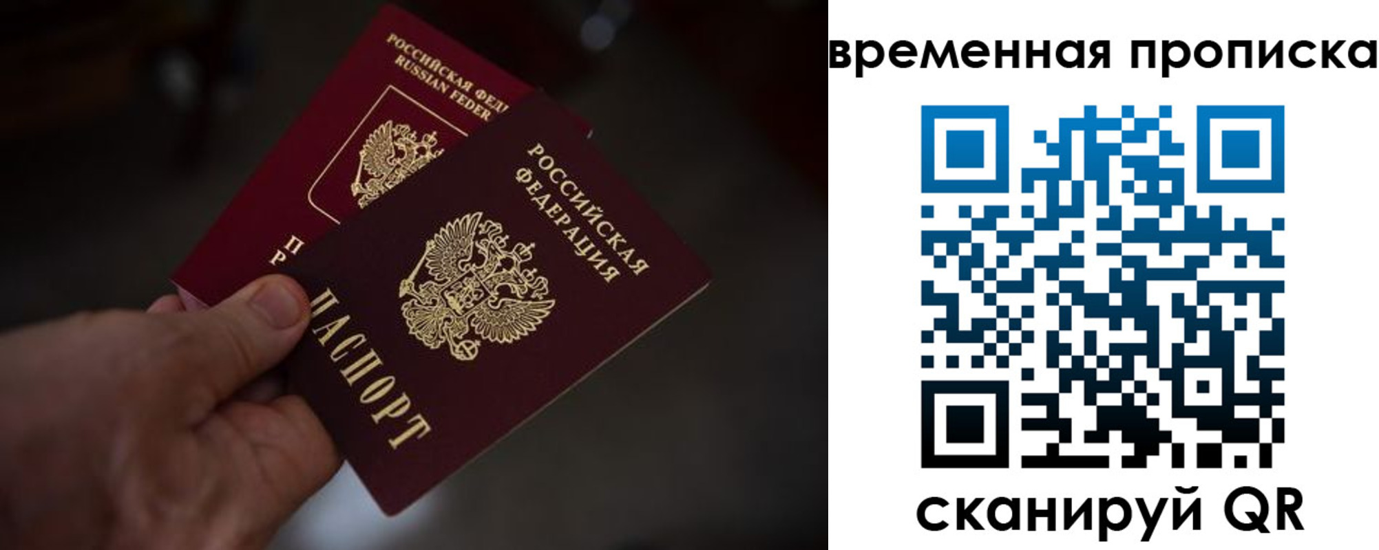 прописка в Каргополе